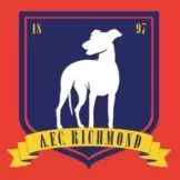 AFC Richmond - worldjerseyshop