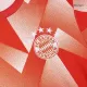 Men's Bayern Munich Pre-Match Soccer Jersey 2023/24 - worldjerseyshop