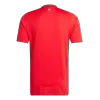 Men's Wales Home Soccer Short Sleeves Jersey 2024 - worldjerseyshop